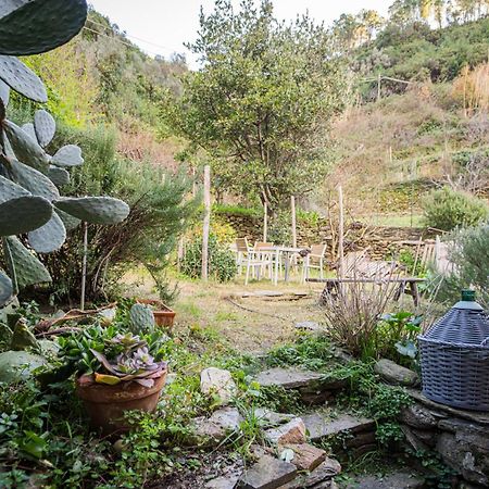 Il Limoneto Dei Cinque Sensi,Apartment With Garden Vernazza Luaran gambar