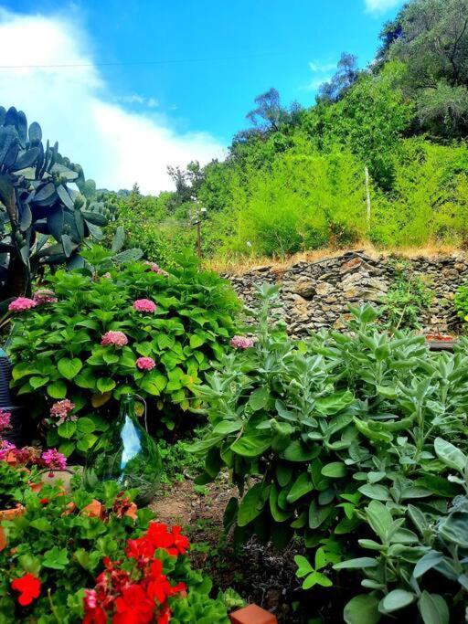 Il Limoneto Dei Cinque Sensi,Apartment With Garden Vernazza Luaran gambar